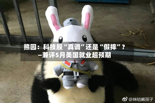 熊园：科技股“真调”还是“假摔	”？—兼评5月美国就业超预期-第2张图片