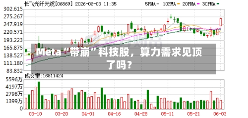 Meta“带崩”科技股，算力需求见顶了吗？