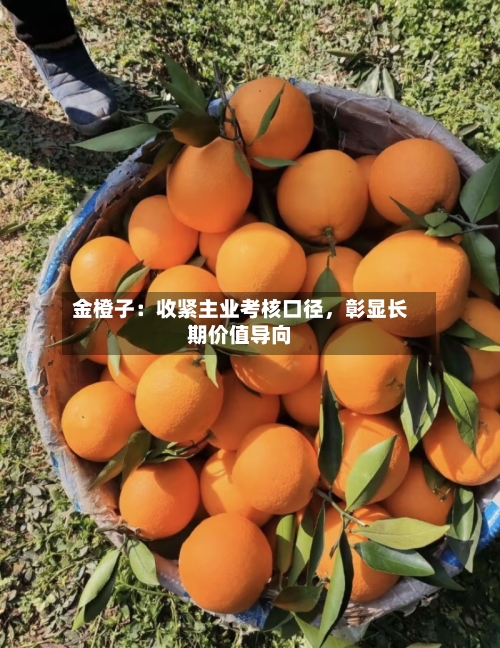 金橙子：收紧主业考核口径，彰显长期价值导向-第3张图片