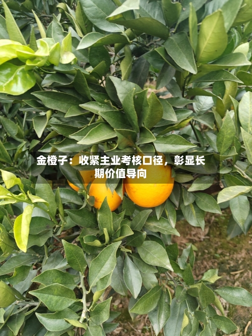 金橙子：收紧主业考核口径，彰显长期价值导向