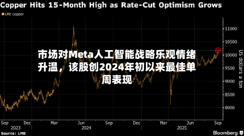 市场对Meta人工智能战略乐观情绪升温，该股创2024年初以来最佳单周表现