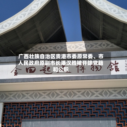 广西壮族自治区贵港市委原常委	、市人民政府原副市长潘汉胜被开除党籍和公职-第3张图片