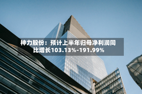 神力股份：预计上半年归母净利润同比增长103.13%-191.99%-第2张图片
