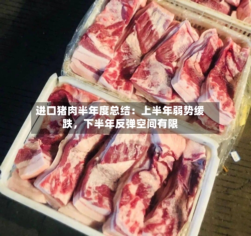进口猪肉半年度总结：上半年弱势缓跌，下半年反弹空间有限-第2张图片