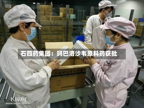 石四药集团：玛巴洛沙韦原料药获批-第2张图片