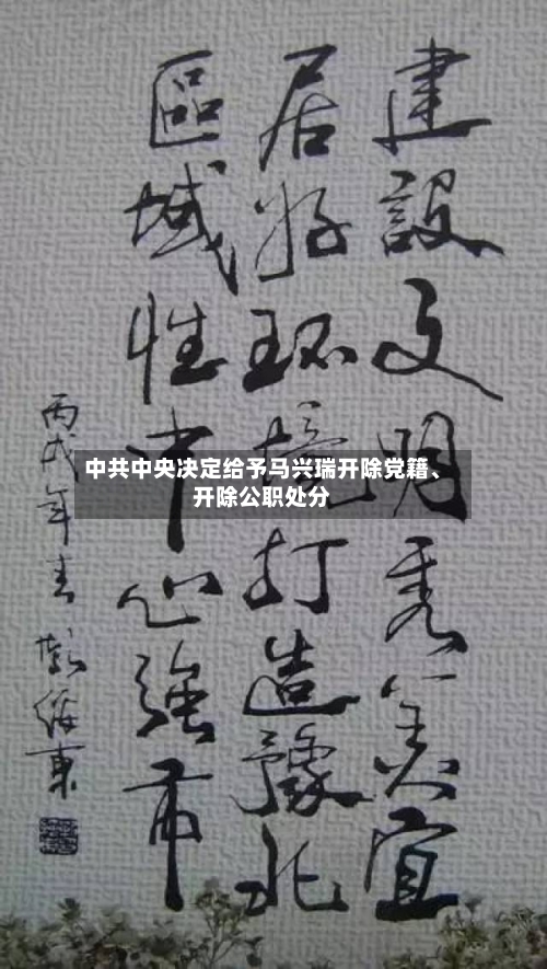 中共中央决定给予马兴瑞开除党籍、开除公职处分