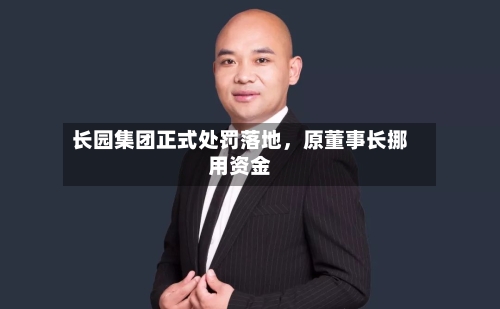 长园集团正式处罚落地，原董事长挪用资金