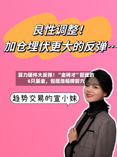 算力硬件大反弹！“金梓才”管理的6只基金，包揽涨幅榜前六-第2张图片