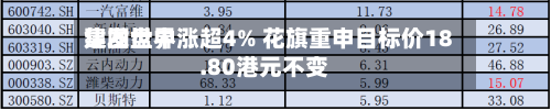 建发世界集团盘中涨超4% 花旗重申目标价18.80港元不变-第3张图片