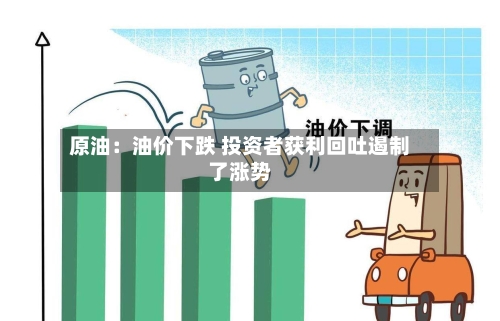 原油:油价下跌 投资者获利回吐遏制了涨势