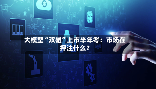 大模型“双雄”上市半年考：市场在押注什么？