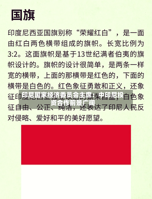 印尼国家经济委员会主席：中印尼投资合作前景广阔-第3张图片