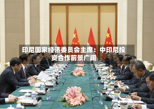 印尼国家经济委员会主席：中印尼投资合作前景广阔-第2张图片