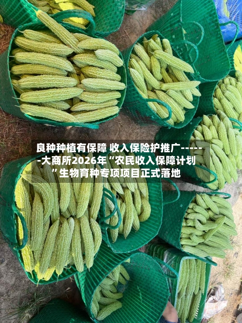 良种种植有保障 收入保险护推广------大商所2026年“农民收入保障计划”生物育种专项项目正式落地-第1张图片
