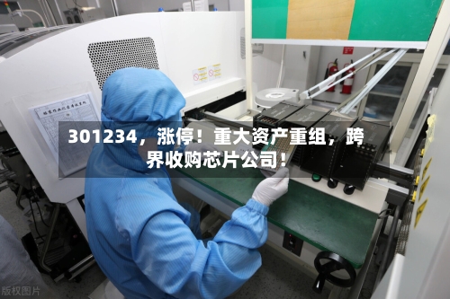 301234，涨停！重大资产重组，跨界收购芯片公司！-第2张图片