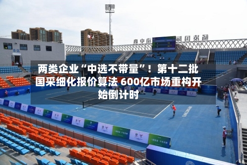 两类企业“中选不带量”！第十二批国采细化报价算法 600亿市场重构开始倒计时-第3张图片
