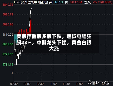 美股存储股多股下跌,超微电脑狂飙23%,中概龙头下挫,黄金白银大涨