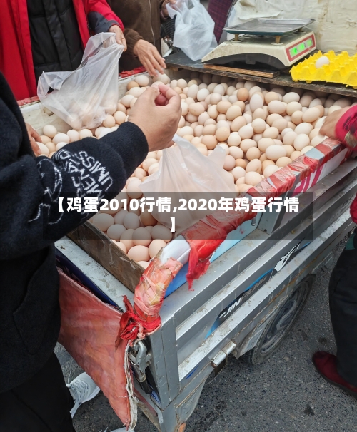 【鸡蛋2010行情,2020年鸡蛋行情】-第1张图片