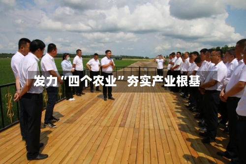 发力“四个农业”夯实产业根基-第2张图片
