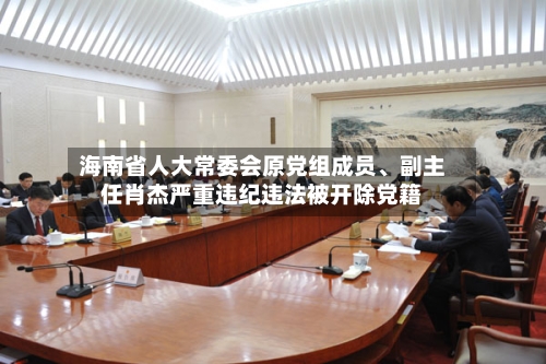 海南省人大常委会原党组成员、副主任肖杰严重违纪违法被开除党籍-第2张图片