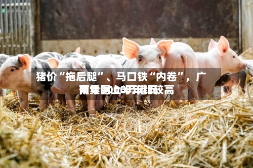 猪价“拖后腿”	、马口铁“内卷	”，广南集团上半年比较高预亏9000万港元-第3张图片