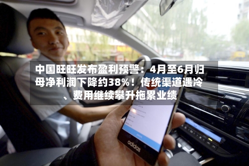中国旺旺发布盈利预警:4月至6月归母净利润下降约38%!传统渠道遇冷、费用继续攀升拖累业绩