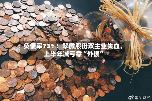 负债率73%！翠微股份双主业失血	，上半年减亏靠“外援	”-第2张图片