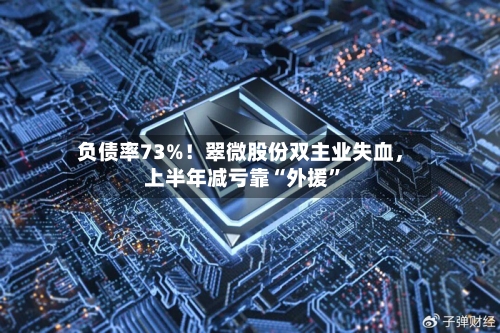 负债率73%！翠微股份双主业失血	，上半年减亏靠“外援”-第3张图片