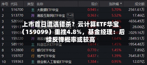 上市首日遭遇错杀？云计算ETF华宝（159099）重挫4.8%	，基金经理：后续反弹概率或较高-第2张图片