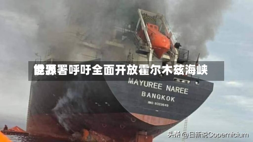世界能源署呼吁全面开放霍尔木兹海峡-第2张图片