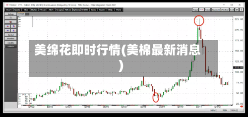 美绵花即时行情(美棉最新消息)-第3张图片