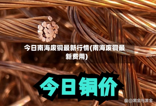 今日南海废铜最新行情(南海废铜最新费用)