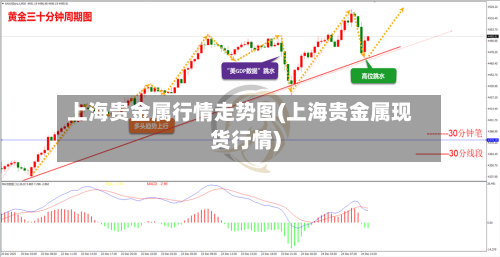 上海贵金属行情走势图(上海贵金属现货行情)