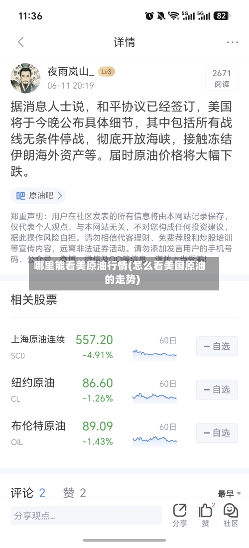 哪里能看美原油行情(怎么看美国原油的走势)