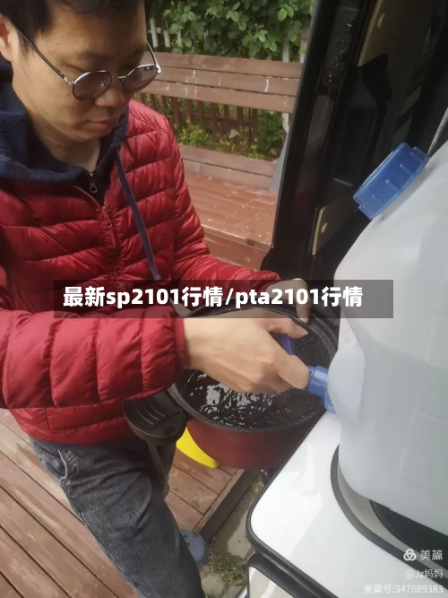最新sp2101行情/pta2101行情-第2张图片