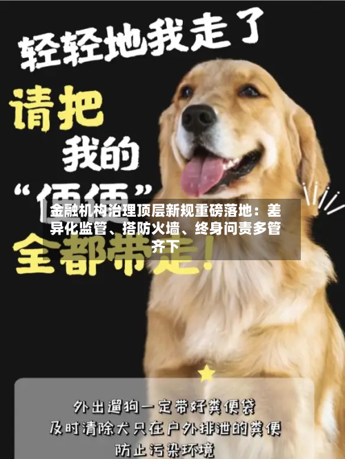 金融机构治理顶层新规重磅落地：差异化监管、搭防火墙、终身问责多管齐下-第2张图片