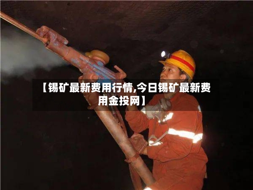 【锡矿最新费用行情,今日锡矿最新费用金投网】-第3张图片