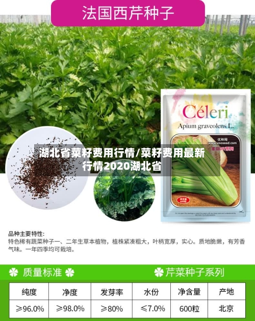 湖北省菜籽费用行情/菜籽费用最新行情2020湖北省