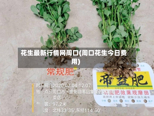 花生最新行情网周口(周口花生今日费用)
