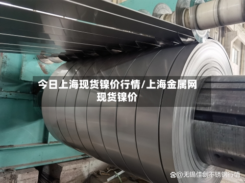 今日上海现货镍价行情/上海金属网现货镍价-第3张图片