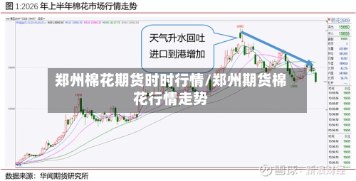 郑州棉花期货时时行情/郑州期货棉花行情走势