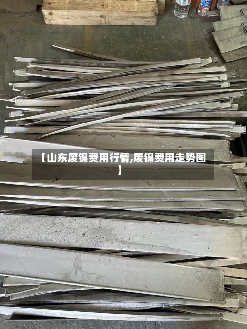 【山东废镍费用行情,废镍费用走势图】