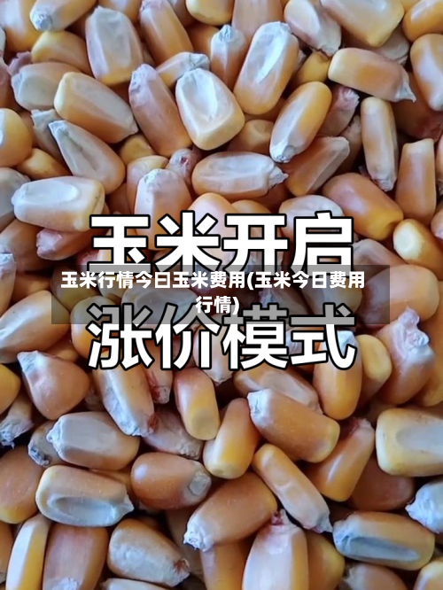 玉米行情今曰玉米费用(玉米今日费用行情)