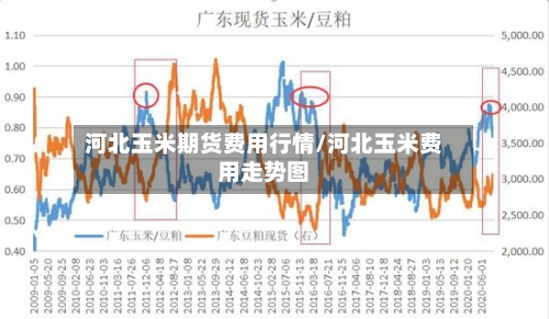 河北玉米期货费用行情/河北玉米费用走势图-第3张图片