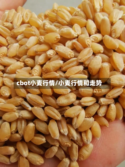 cbot小麦行情/小麦行情和走势