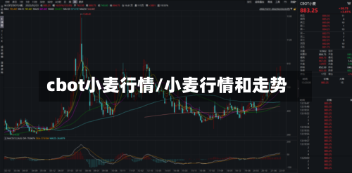 cbot小麦行情/小麦行情和走势-第2张图片