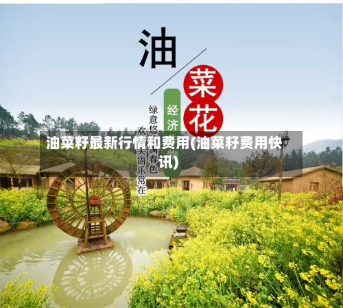 油菜籽最新行情和费用(油菜籽费用快讯)-第3张图片