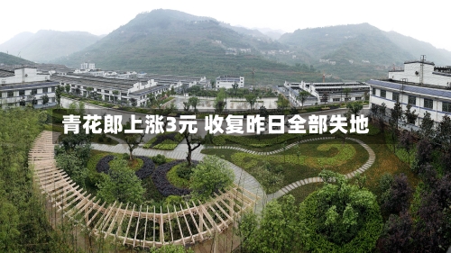 青花郎上涨3元 收复昨日全部失地-第3张图片