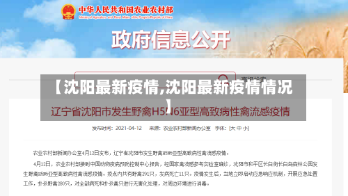 【沈阳最新疫情,沈阳最新疫情情况】-第2张图片