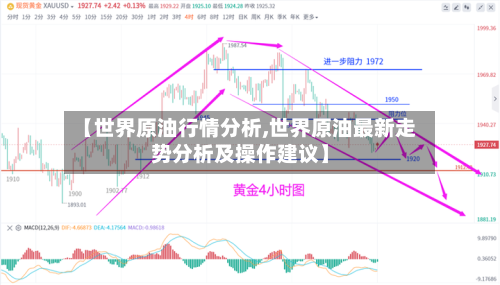 【世界原油行情分析,世界原油最新走势分析及操作建议】-第3张图片